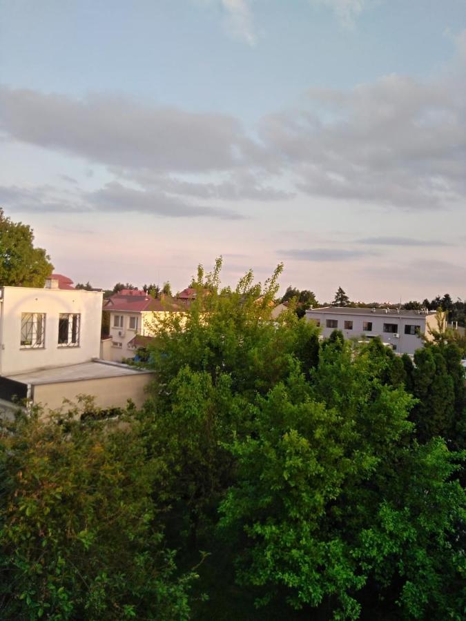 La Madriguera Bed & Breakfast Raszyn Eksteriør bilde