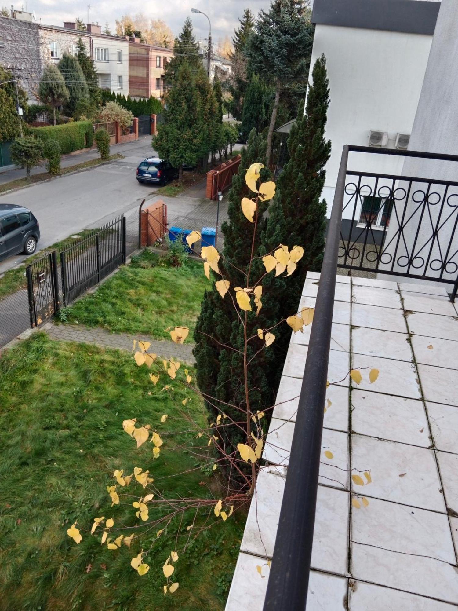 La Madriguera Bed & Breakfast Raszyn Eksteriør bilde